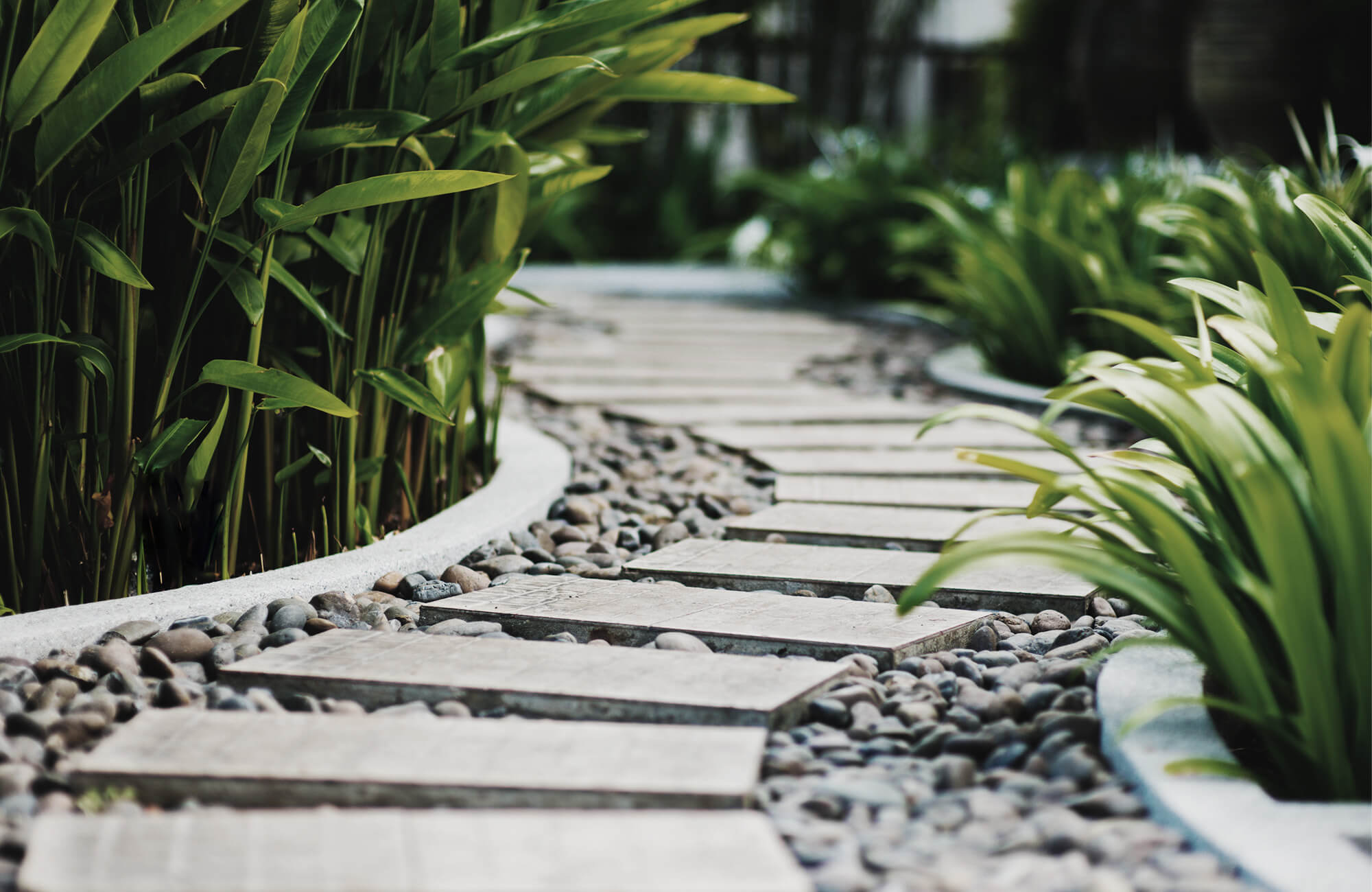 para_02_bg